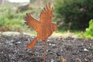Astvogel fliegender Vogel