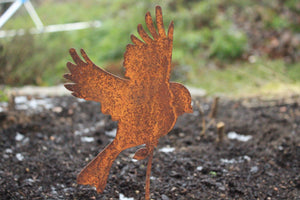 Astvogel fliegender Vogel