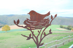 Vogel im Nest