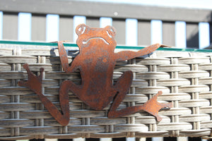 Frosch klein zum Einhängen