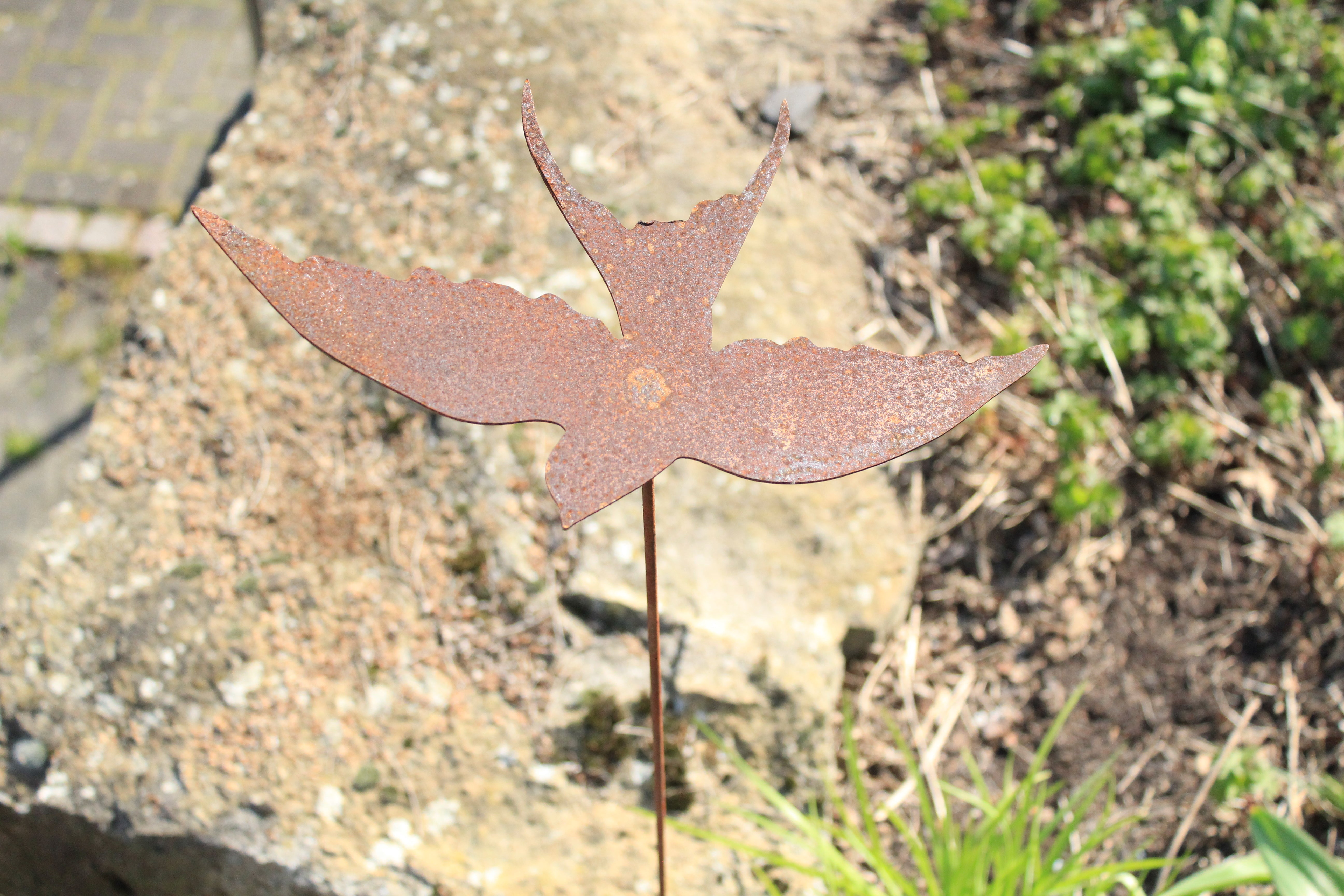 Fliegende Schwalbe schräg auf Stab