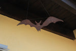 Fledermaus zum Hängen Nr. 1