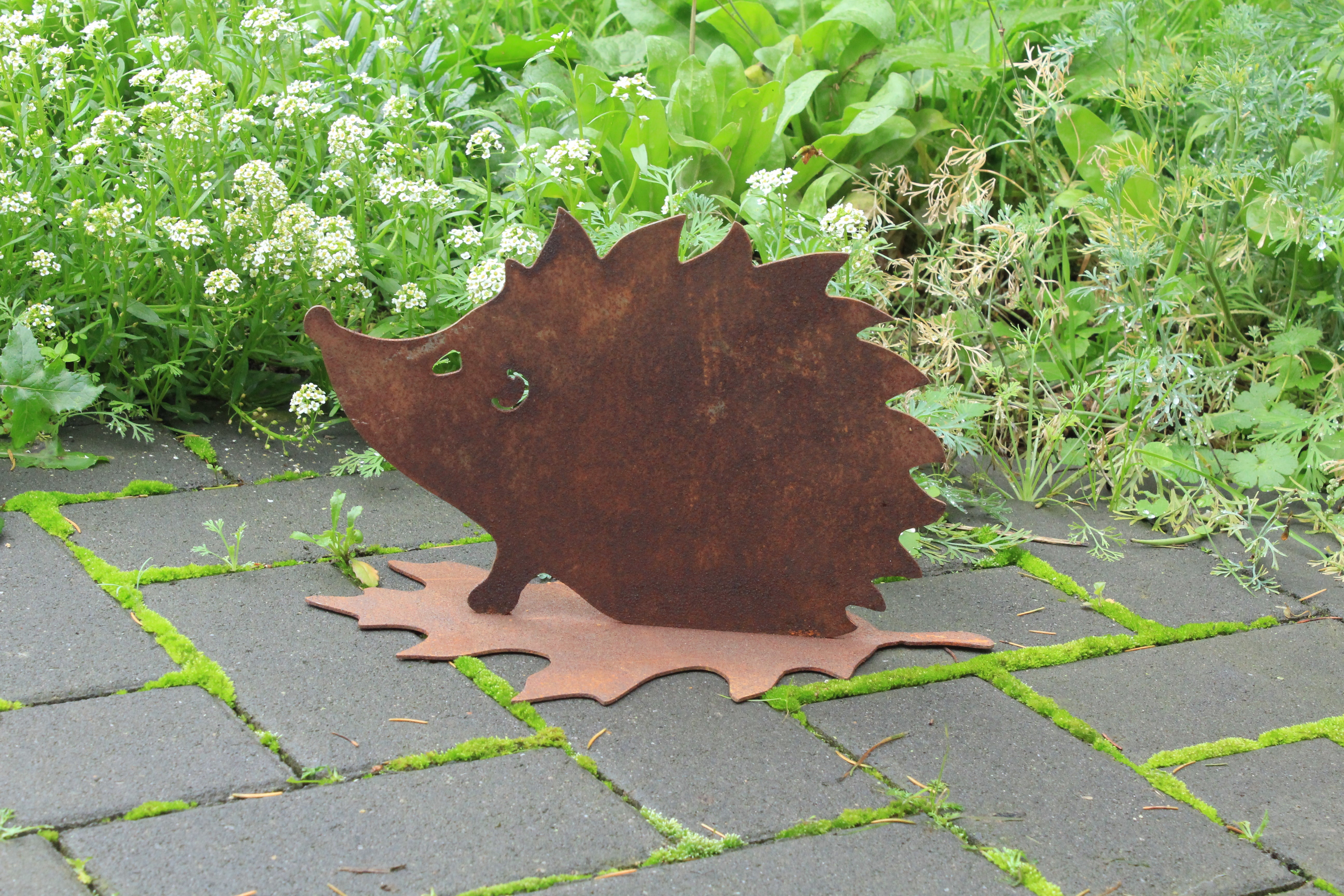 Igel verschiedene Größen