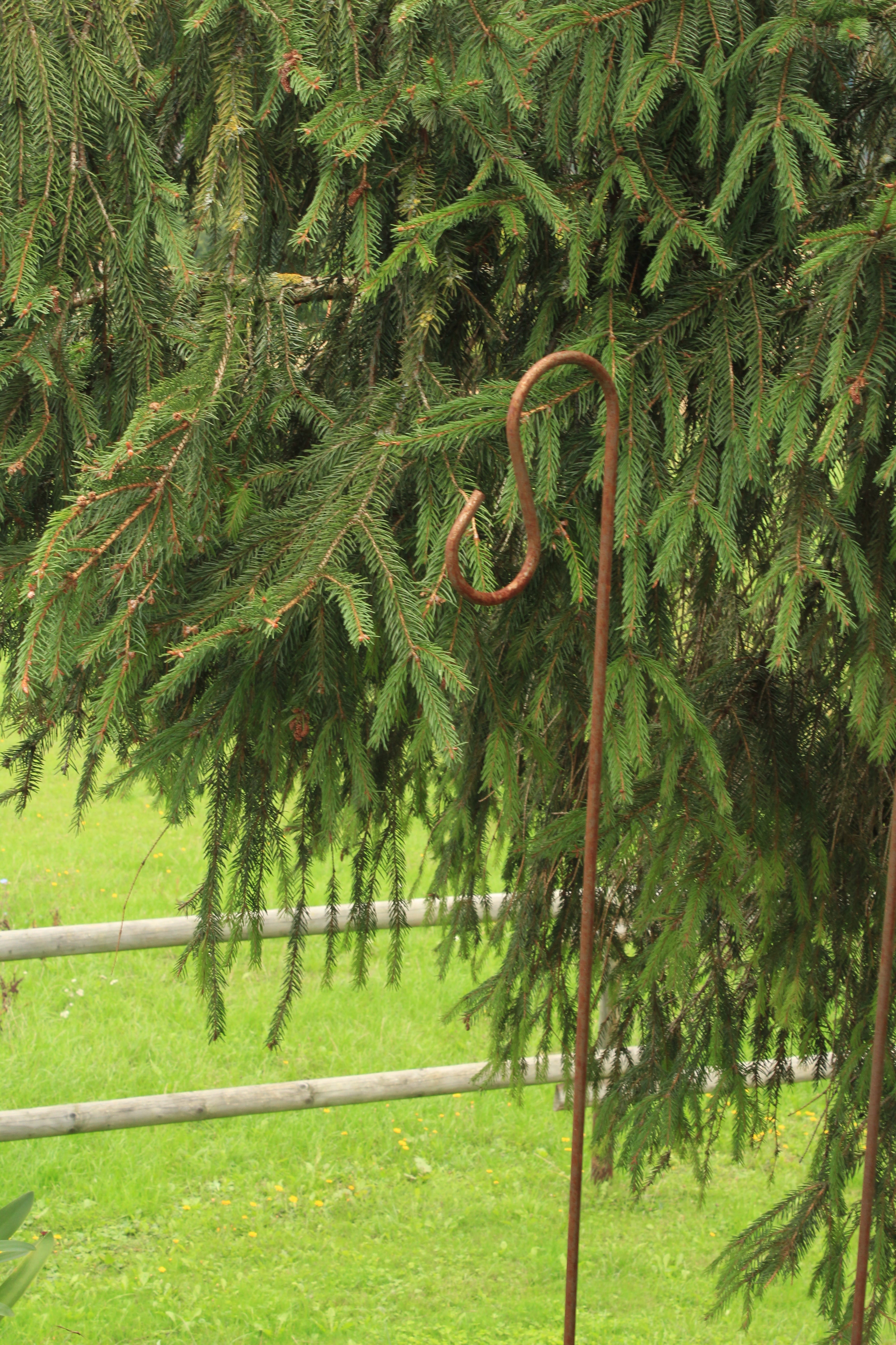 Hakenstab