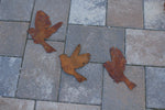 verschiedene, fliegende Vögel