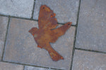 verschiedene, fliegende Vögel
