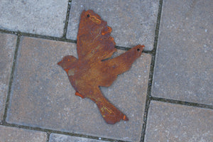 verschiedene, fliegende Vögel