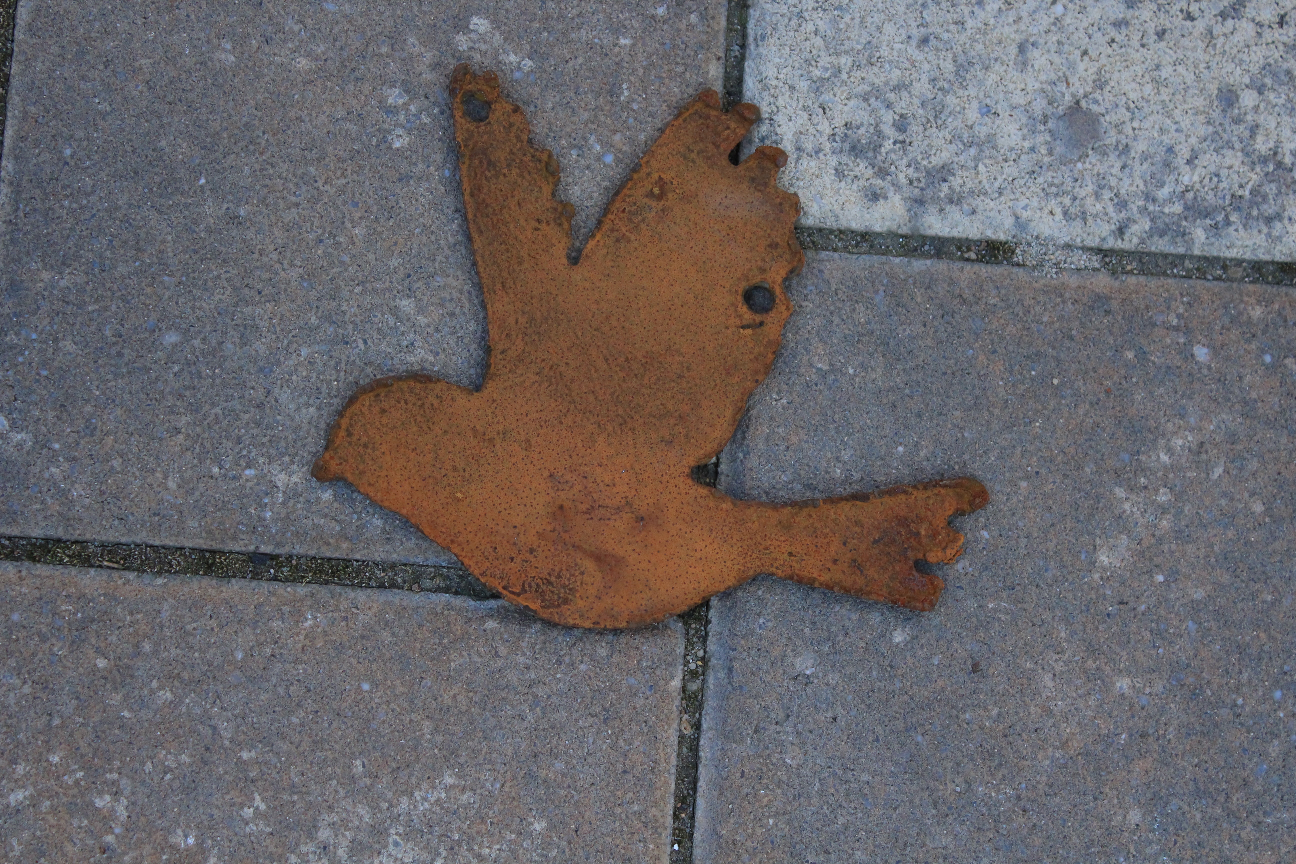 verschiedene, fliegende Vögel