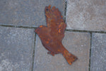 verschiedene, fliegende Vögel