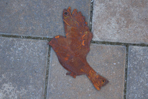 verschiedene, fliegende Vögel