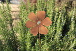 Blütentraum Blüte mit Goldpunkt