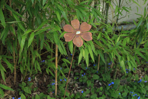Blütentraum Blüte mit Goldpunkt