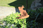 Frosch auf Seerosenblatt zum Stecken